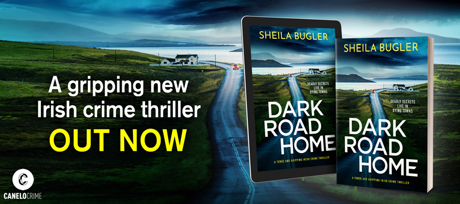 Dark Road Home. Tense and gripping Irish crime thriller by Sheila Bugler